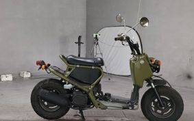 HONDA ZUMAR AF58
