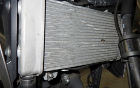 HONDA CB250RA 2024 MC52