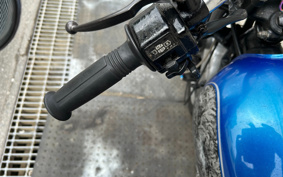 SUZUKI GSX250 GJ51B