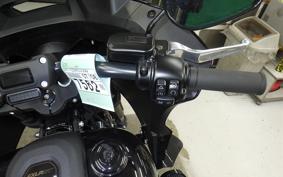 HARLEY FXLRST1920 2024