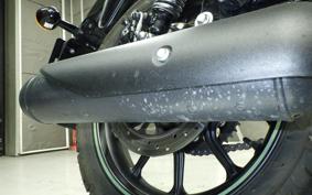 OTHER +ENFIELD ﾒﾃｵ350 2024