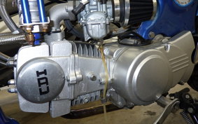 OTHER UNREGISTERED MODEL by BDS125