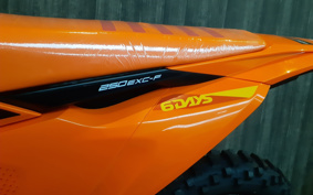 KTM 250 EXC F SIXDAYS EXA40