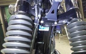 KAWASAKI W800 2023 EJ800E