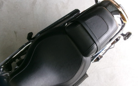 HARLEY FLFBS 2025 YGK