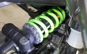 KAWASAKI ZX-4RR 2024 ZX400P