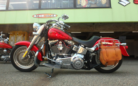 HARLEY HARLEY FLSTF1340-1450 2007 BX5