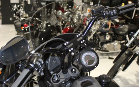 HARLEY FXLRS 2022 YWZ