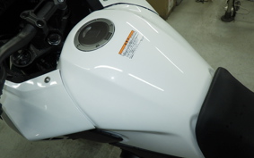 HONDA NX400 2024 NC65