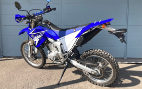 YAMAHA WR250R DG15J