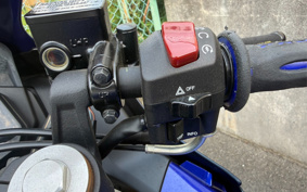 YAMAHA YZF-R15 RG86J