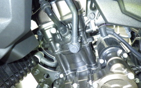 SUZUKI Vｽﾄﾛｰﾑ250SX 2011 EL11L