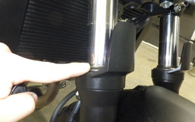 SUZUKI SV650 A 2026 VP55E