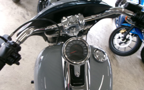 HARLEY FLSB 2024 YMJ