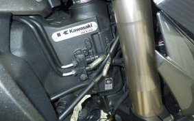 KAWASAKI Z1000 Gen.5 2014