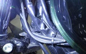 KAWASAKI W800 2012 EJ800A