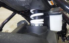 SUZUKI Vｽﾄﾛｰﾑ250SX 2002 EL11L