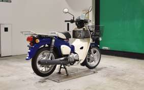 HONDA C110 SUPER CUB 2010 JA61