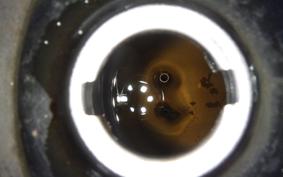 HONDA C50 SUPER CUB AA01