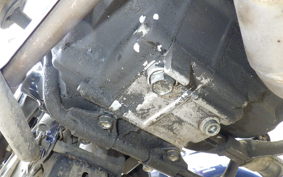 HONDA C50 SUPER CUB 2019 AA01