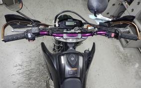 YAMAHA WR250X 2021 DG15J