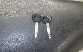 HONDA LEAD 110 2009 JF19