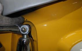 HONDA C110 SUPER CUB