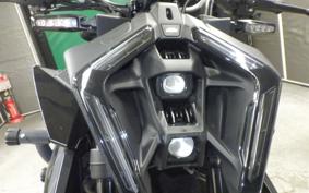 KTM 990 DUKE 2024