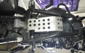 KAWASAKI KLX250D TRACKER X 2021 LX250V