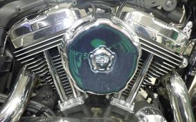 HARLEY L1200LI 2010