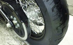 HARLEY FXBB1750 2019