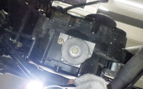 OTHER +UNREGISTERED MODEL by BDS250