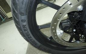 TRIUMPH SCRAMBLER400X 2024