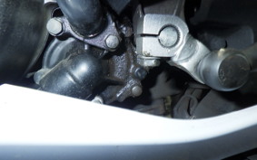 KAWASAKI Z250 ER250C