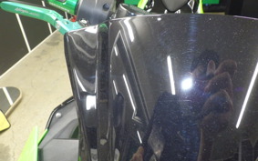 KAWASAKI NINJA 400 2019 EX400G