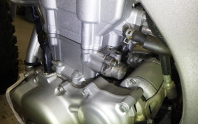 YAMAHA WR250R 2022 DG15J