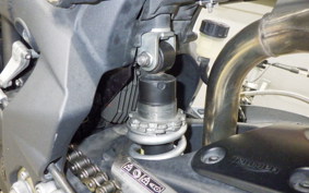 TRIUMPH STREET TRIPLE 2009