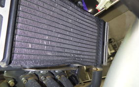 HONDA HORNET 250 2024 MC31