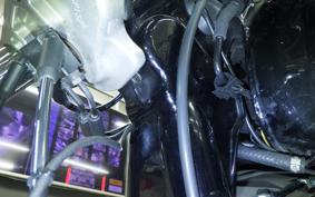 HARLEY FXDL 1580 2014