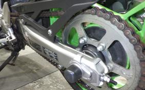 KAWASAKI ZX-4RR 2024 ZX400P