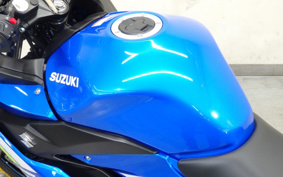 SUZUKI GSX250R DN12B