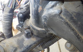 YAMAHA RZ250R 29L