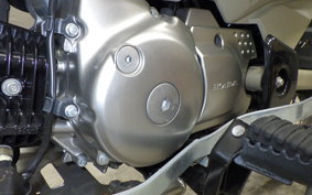 HONDA CT125 HUNTER CUB JA55