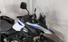 SUZUKI DL650 ( V-Strom 650 ) 2019 C733A