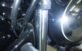 MEGURO S1 2025 BJ230A