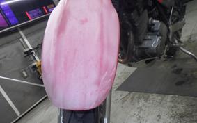 KAWASAKI SUPER SHERPA KL250G