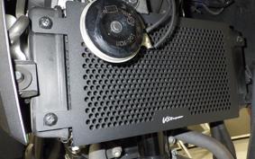 SUZUKI V-STROM 250 2009