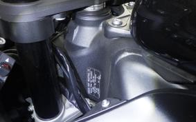 KAWASAKI NINJA ZX-6R A 2019 ZX636G
