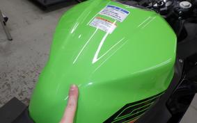 KAWASAKI NINJA 250 2023 EX250Y