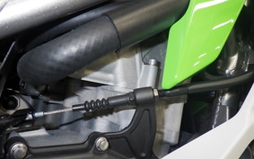 KAWASAKI ZX-4RR 2024 ZX400P